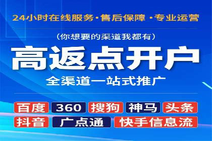 百度竞价排名服务：成功案例解析与优化策略
